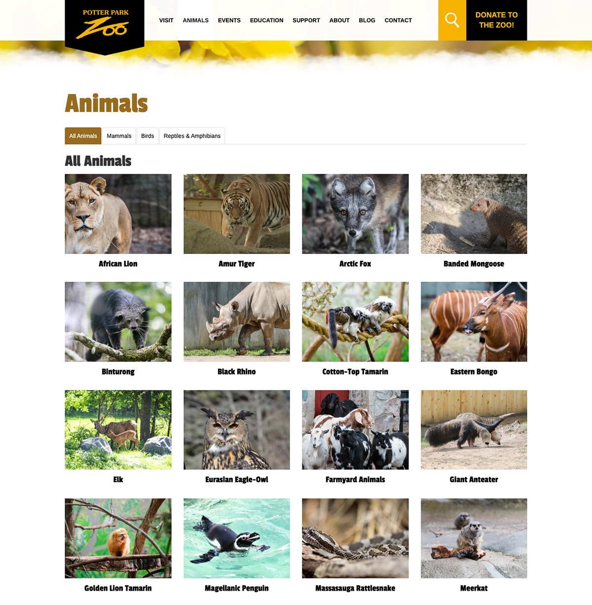 Potter Park Zoo Website Animals page