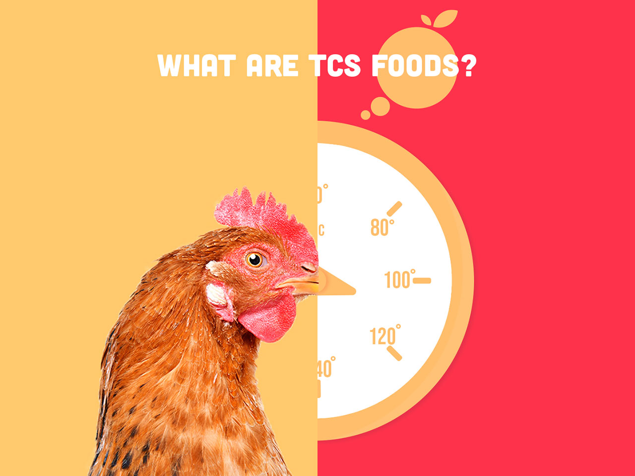 What are TCS foods?